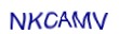 simple_captcha.jpg